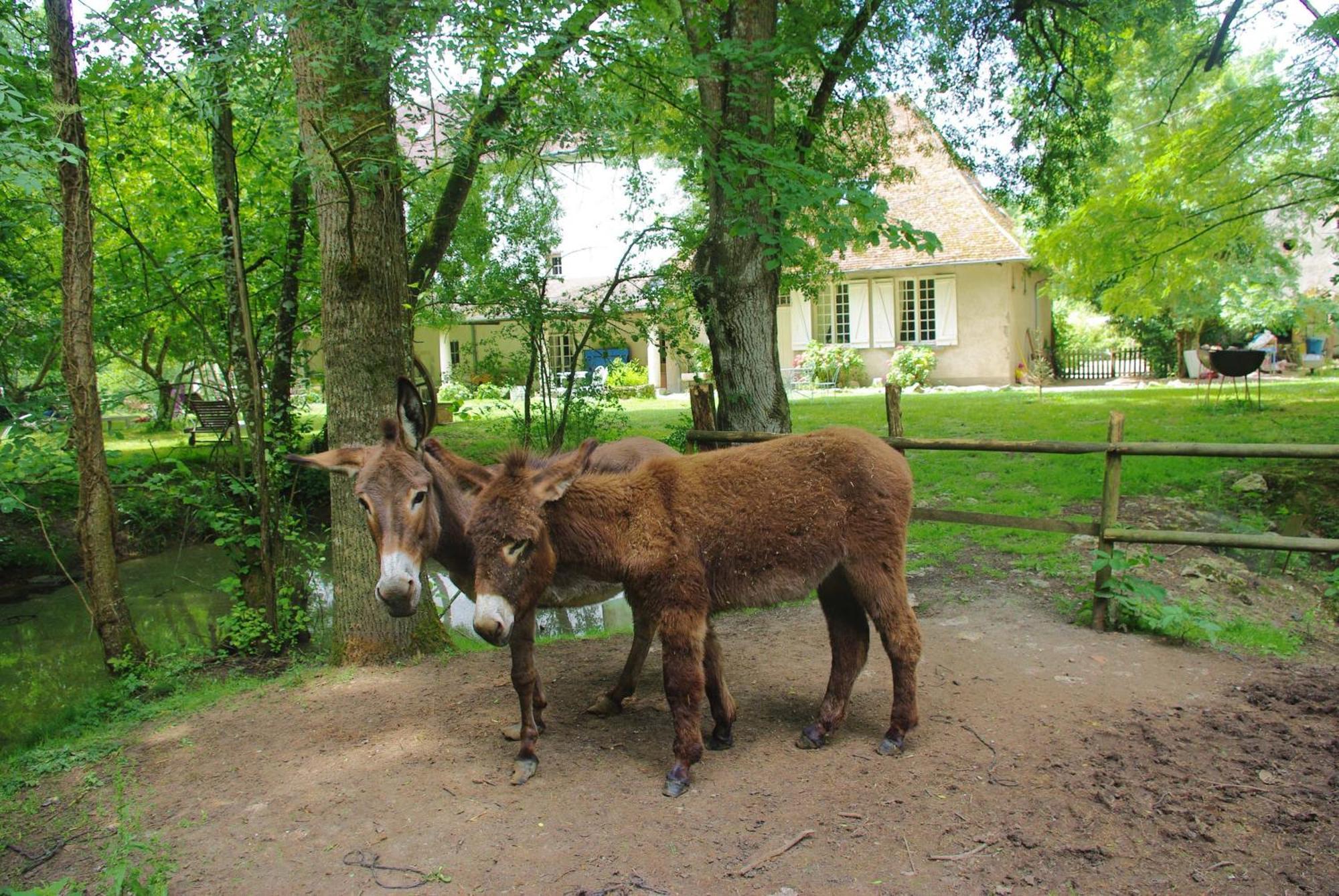 Maison D'Hotes Moulin Du Bas Pese Mont-près-Chambord Kültér fotó